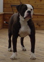 andkids038.jpg