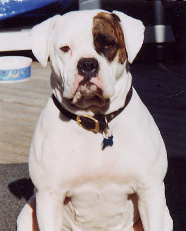 cloe.jpg